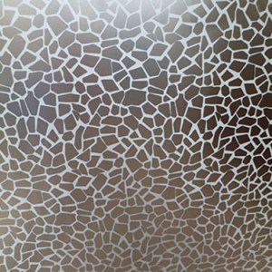 Mẫu decal dán kính mờ 08