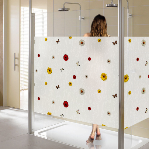 Mẫu decal dán kính mờ 14