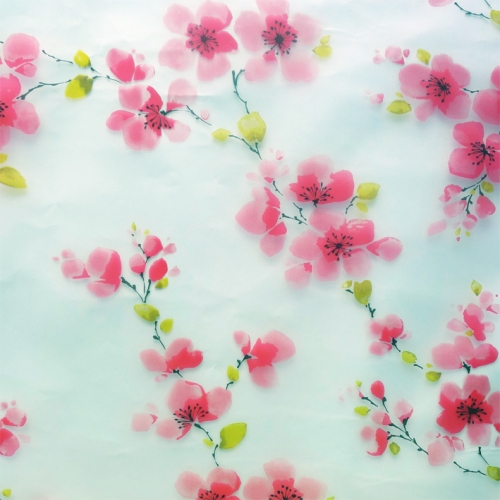 Mẫu decal dán kính mờ 16